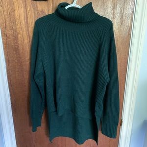 Turtle Neck - Aritzia